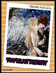 Book Cover: You're My Destiny (Thania Natalia)
